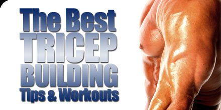 Best Tricep Building Tips