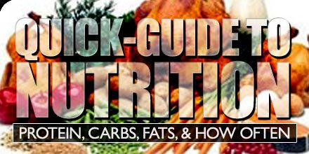 Guide to Nutrition