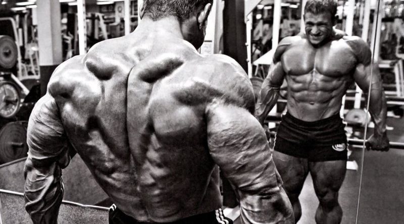 building an impressive back