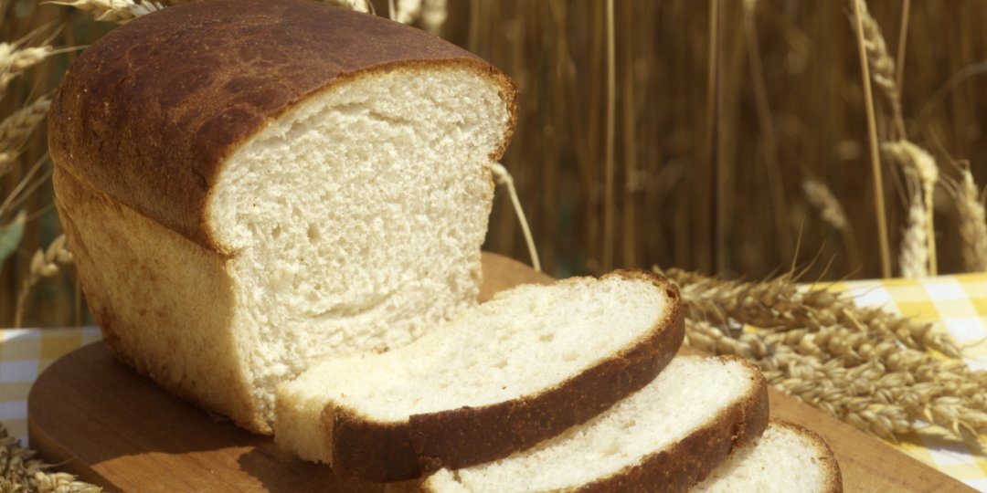 Best Carbohydrate Management Supplements & Carb Blockers