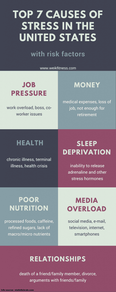 causes of stress in the united states