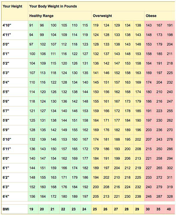 Weight Chart For People