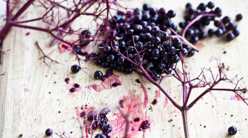 elderberry supplements