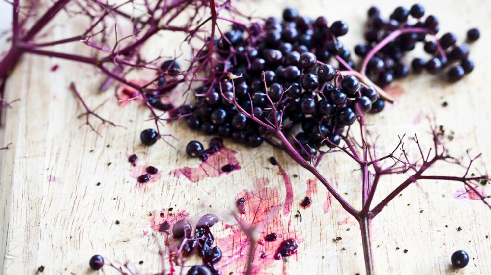 The Benefits of Elderberry Supplements