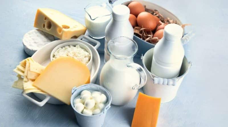 dairy products