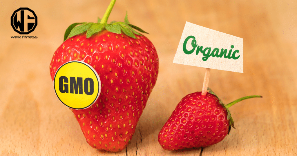 genetically modified food