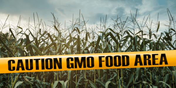 genetically modified food