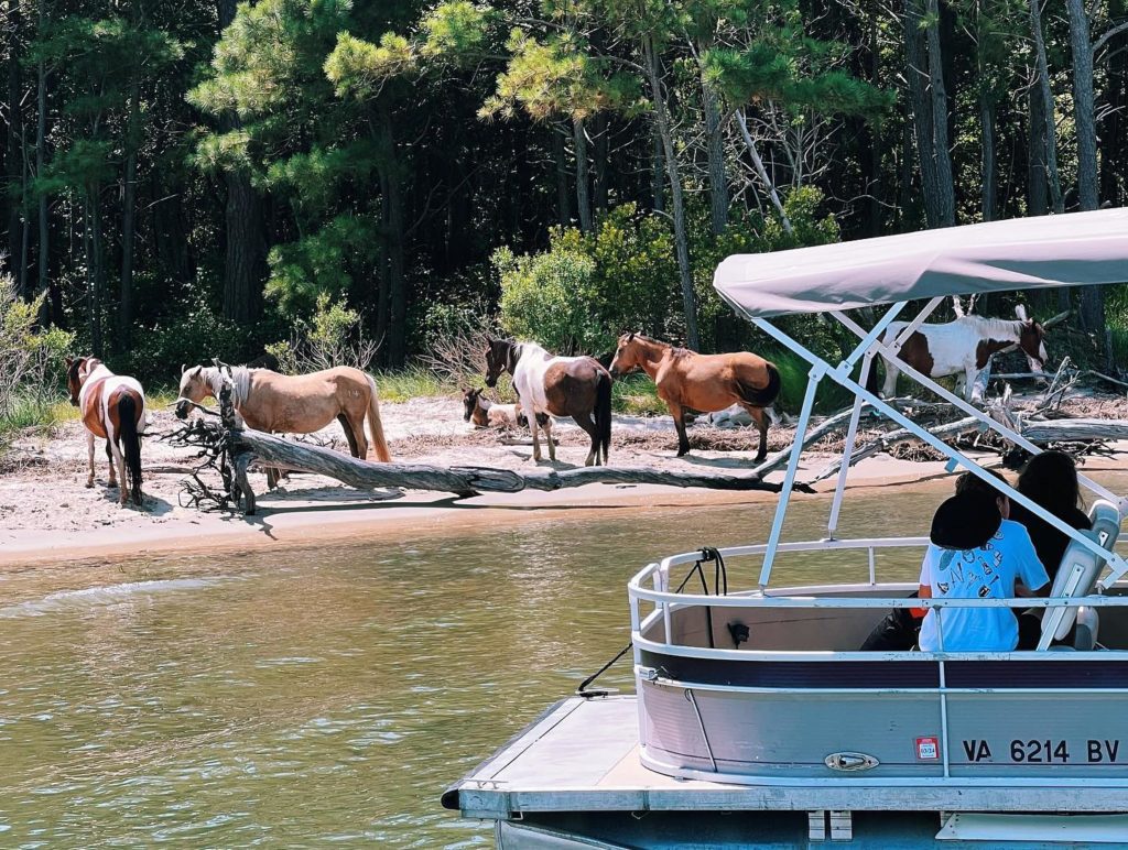 daisey's island cruises