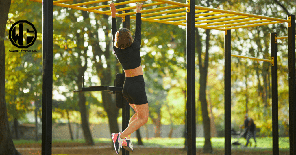 monkey bars