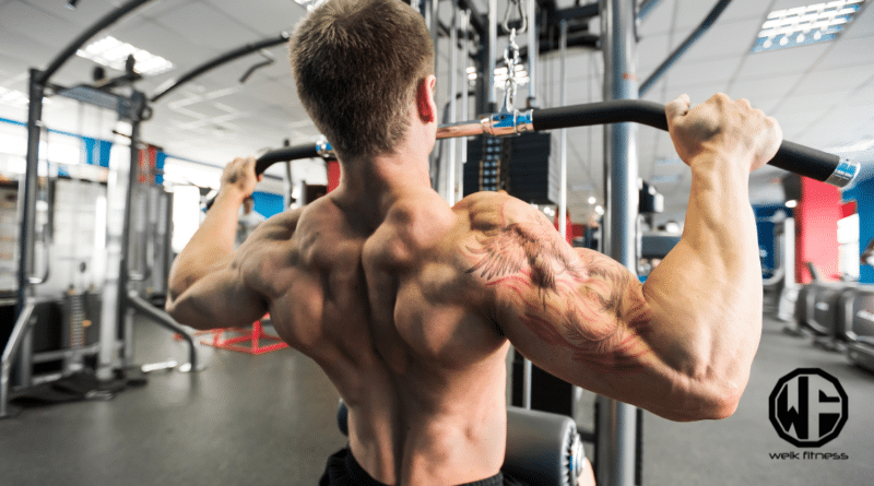 back cable workouts