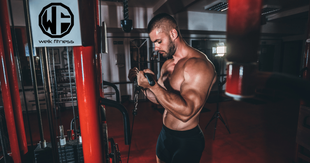 bicep cable workouts