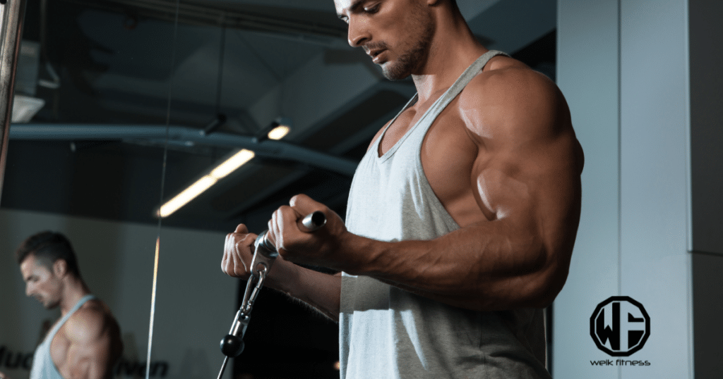 bicep cable workouts