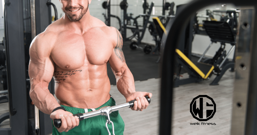 bicep cable workouts