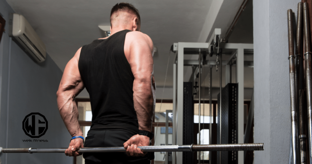 forearm workouts with dumbbells