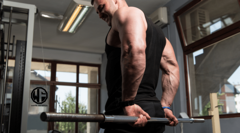 forearm workouts with dumbbells