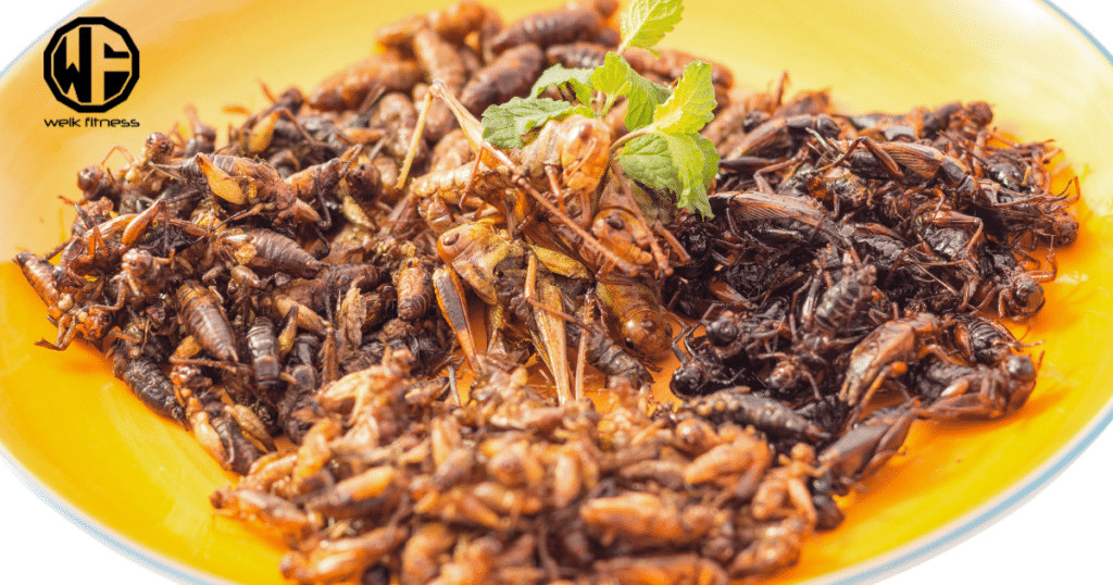 insect ingredients