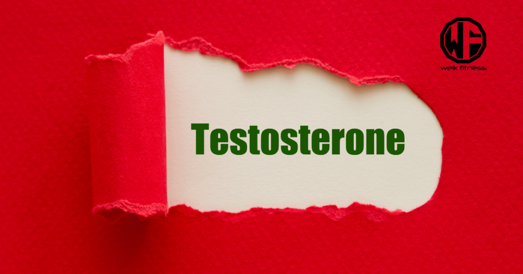 testosterone