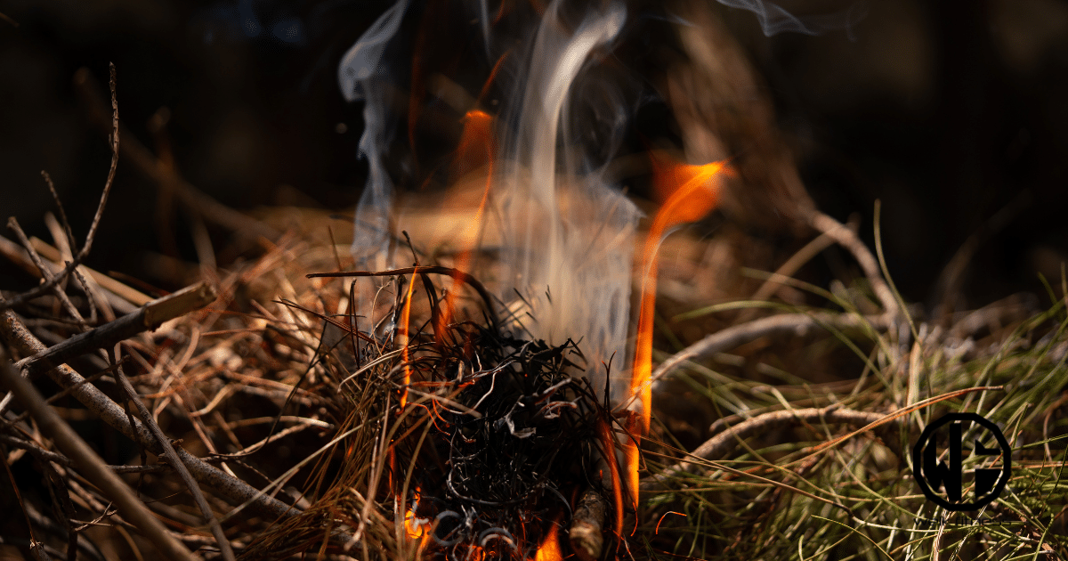 How To Start a Fire: A Beginner’s Guide To Outdoor Skills