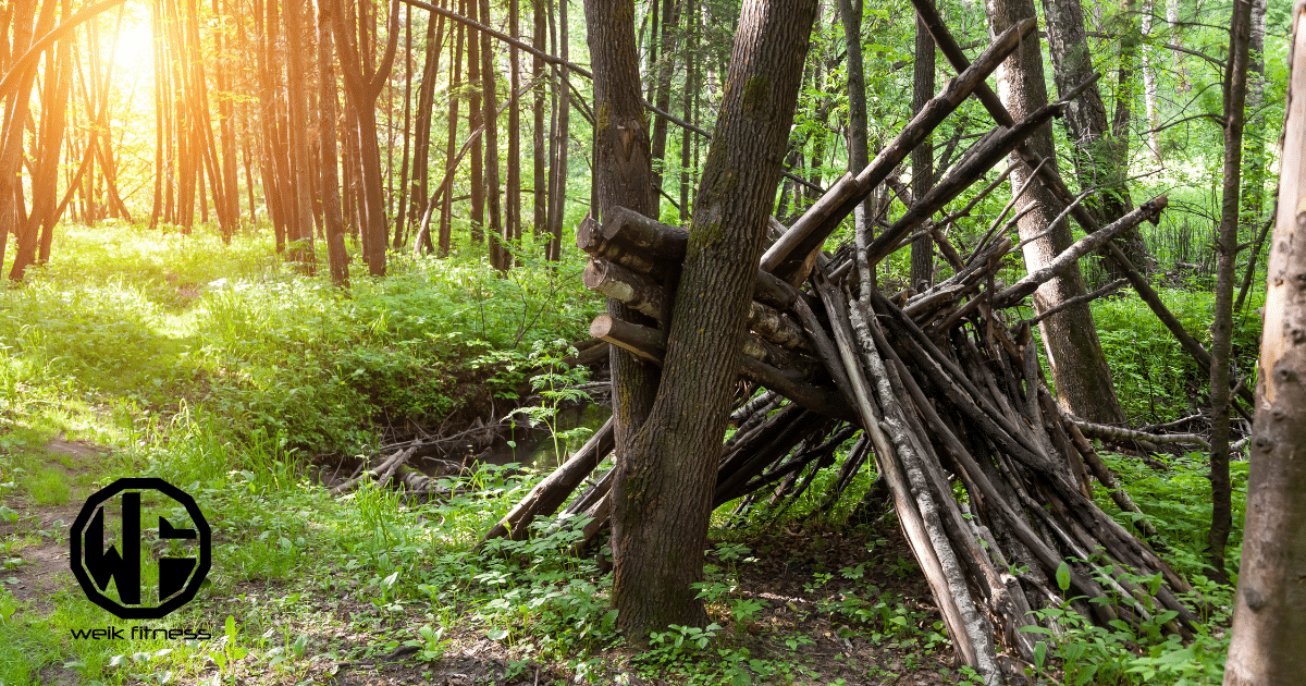 HowTo Guide On Mastering Survival Shelter Building