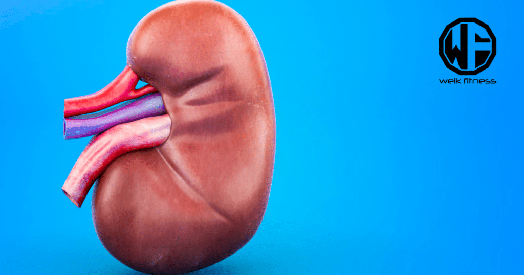 kidney health