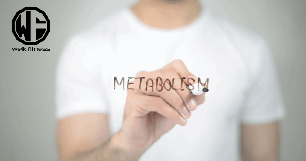metabolism