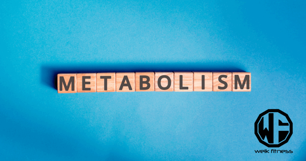 metabolism