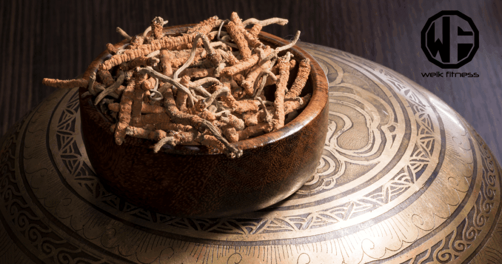 cordyceps supplements