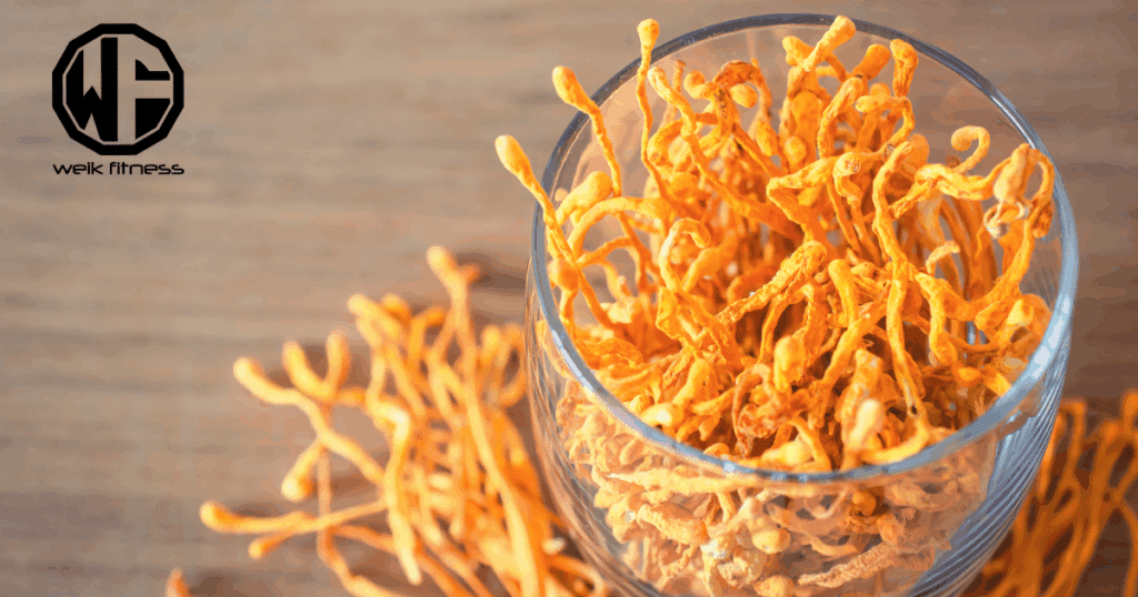 cordyceps supplements