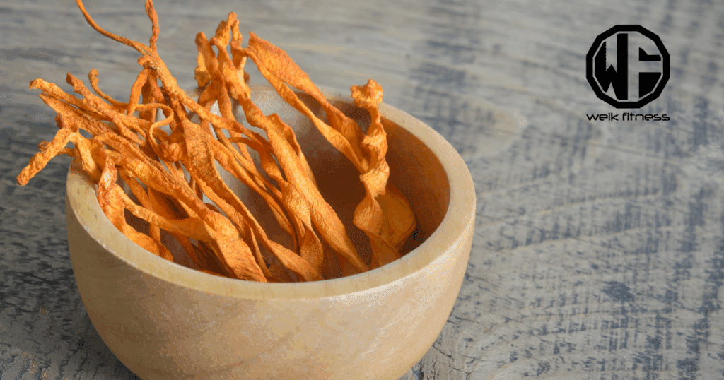 cordyceps supplements