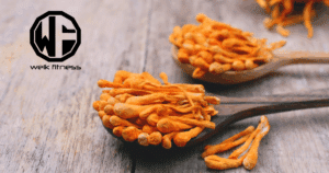 cordyceps supplements