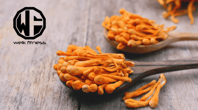 cordyceps supplements