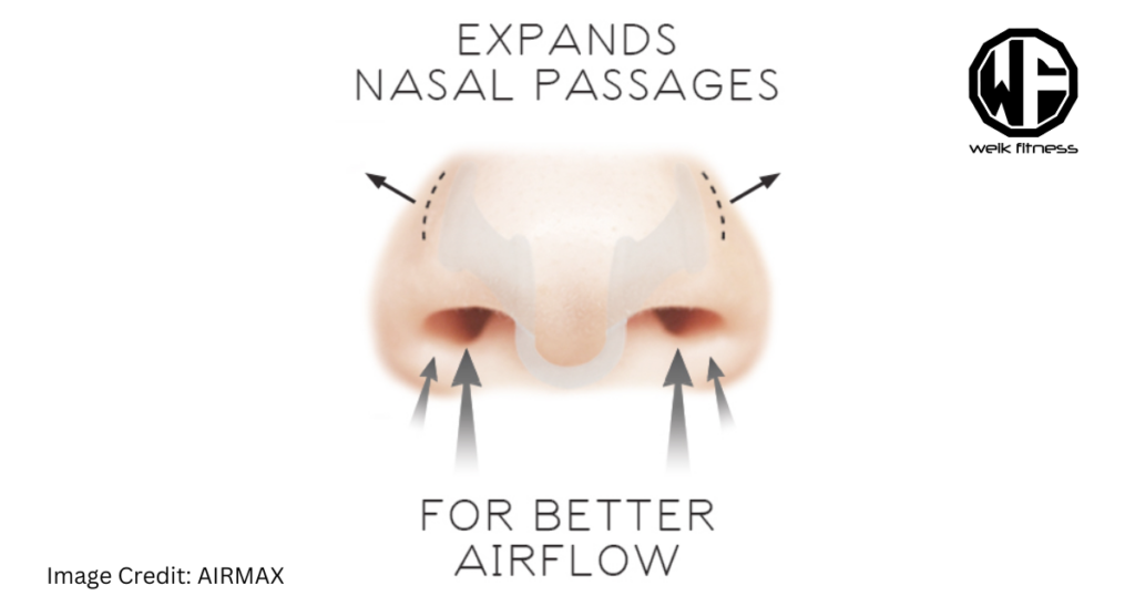 nasal dilator