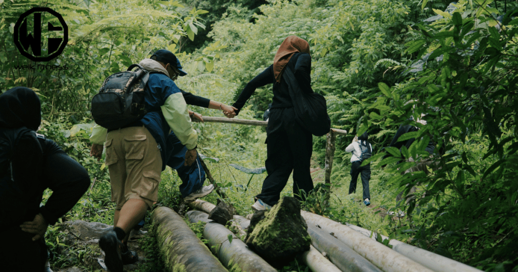 hiking trails in new york