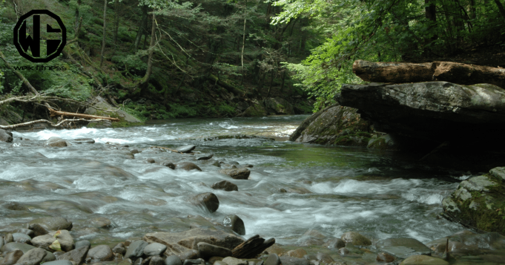 catskill trail