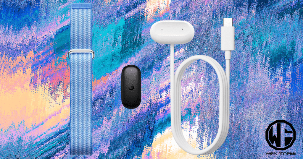 google fitbit air box contents